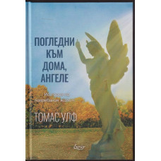 Погледни към дома, ангеле Погледни към дома, ангеле