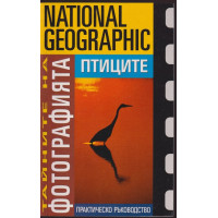 Тайните на фотографията: Птиците