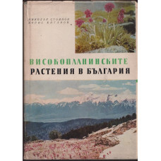 Високопланинските растения в България Високопланинските растения в България