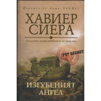 Изгубеният ангел