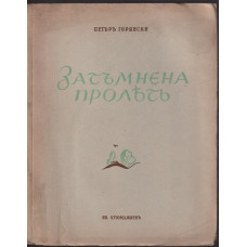 Затъмнена пролетъ