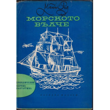 Морското вълче