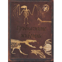 Гръбначните животни Гръбначните животни