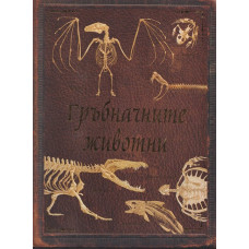 Гръбначните животни Гръбначните животни