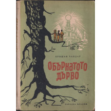 Обърнатото дърво Обърнатото дърво