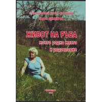 Живот на ръба