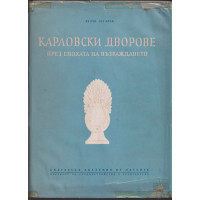 Карловски дворове през епохата на Възраждането