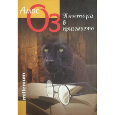 Пантера в приземието