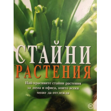 Стайни растения. Най-красивите стайни растения за дома и офиса