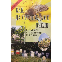 Как да отглеждаме пчели